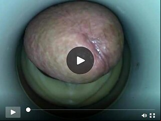 gay amateur